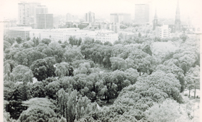 Panoramic view number 2, East Melbourne