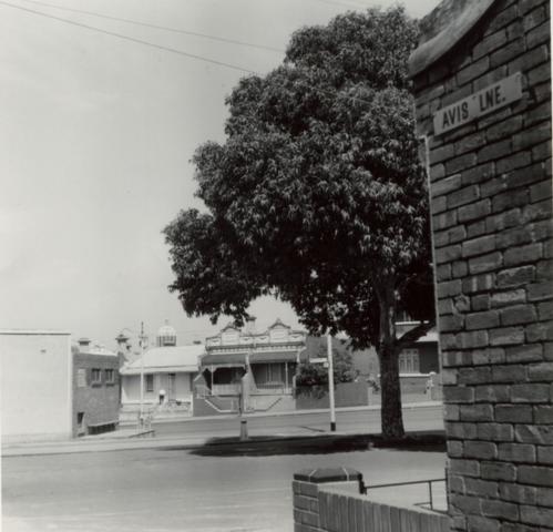 Avis Lane