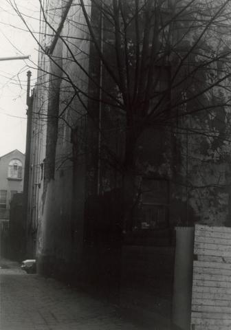 Throssell Lane