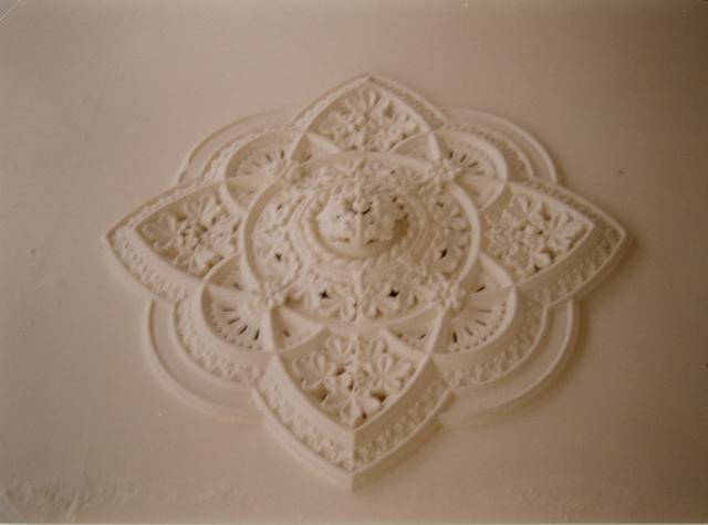 Polaris building ceiling rose