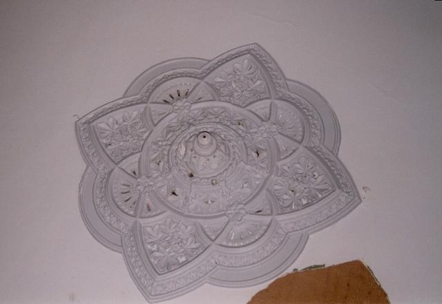 Polaris building ceiling rose