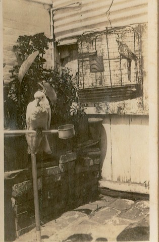 Exterior of the Court House Hotel