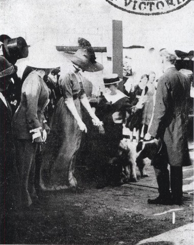 Opening of the Lost Dogs Home, North Melbourne