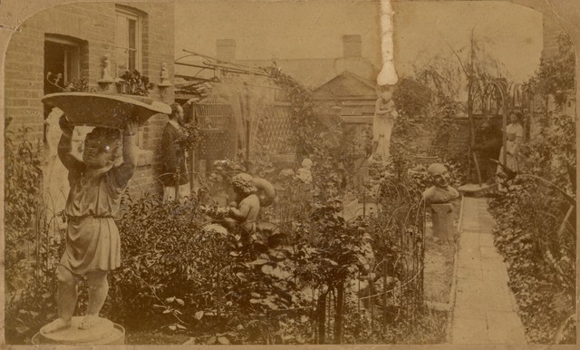 Rear garden of Errol Street Pharmacy, North Melbourne