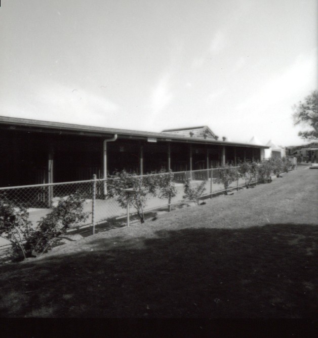 Day Stalls at Flemington Racecourse