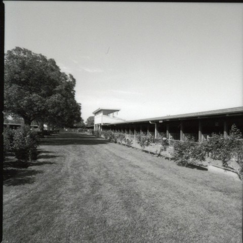 Day Stalls at Flemington Racecourse
