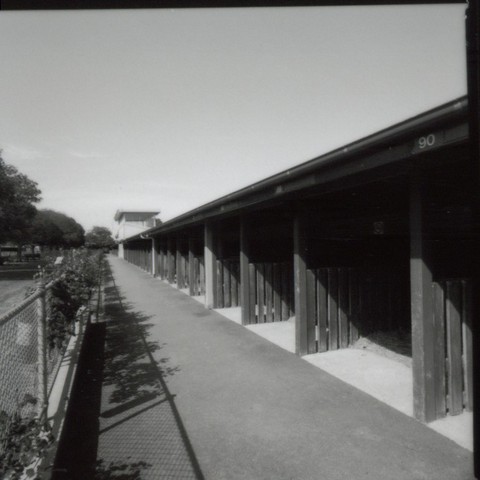 Day Stalls at Flemington Racecourse