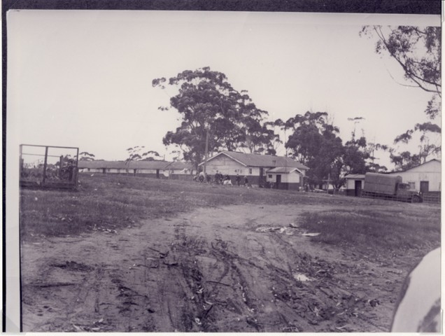 Camp Pell