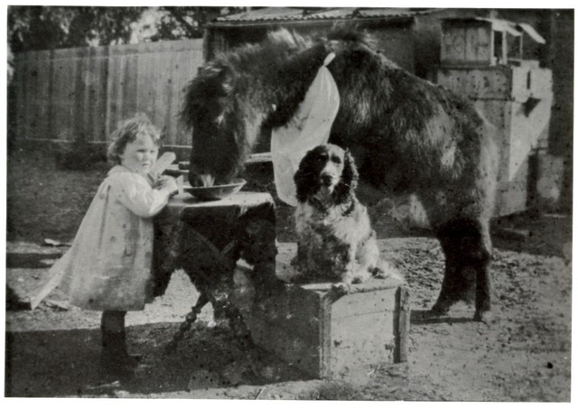 Winifred Leeming and her pets