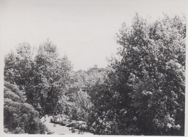 Elevated View from Curzon Street and O'Shanassy Street Corner, looking towards Ukranian Catholic Church, Summer