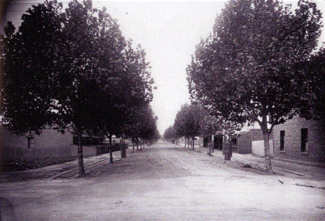 Harris Street, North Melbourne