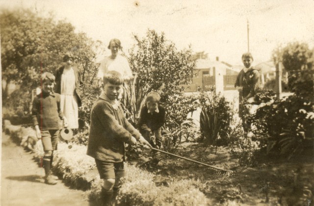 Errol Street Gardening