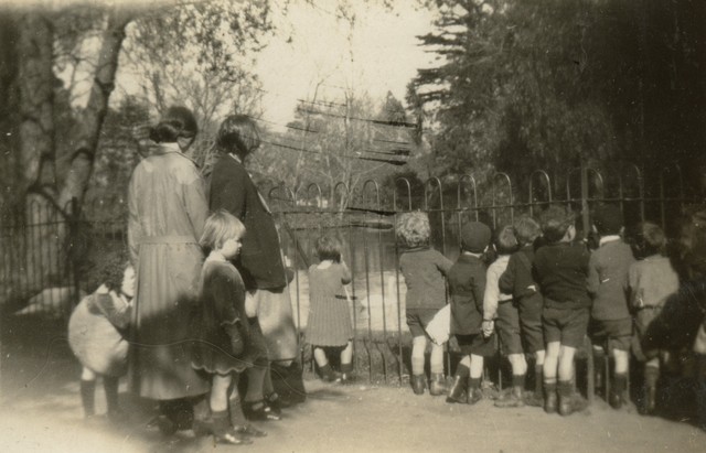 Faraday Street Kindergarten