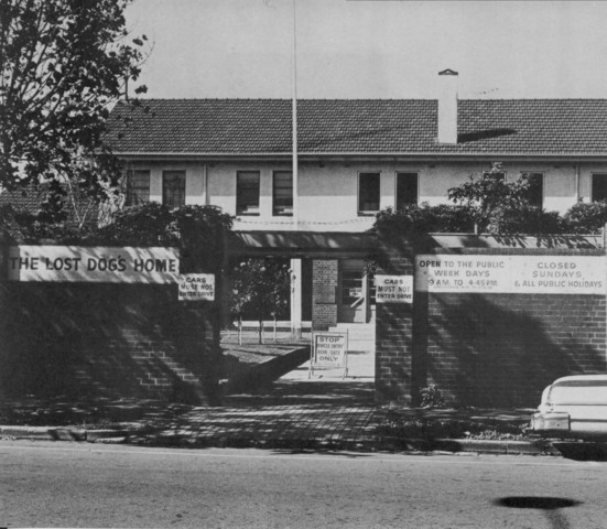 Lost Dogs' Home Gracie Street