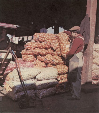 Victoria Market Fruit Seller