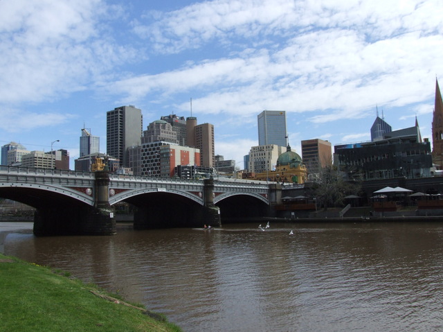 132 present: Rowers, Yarra River, Melbourne