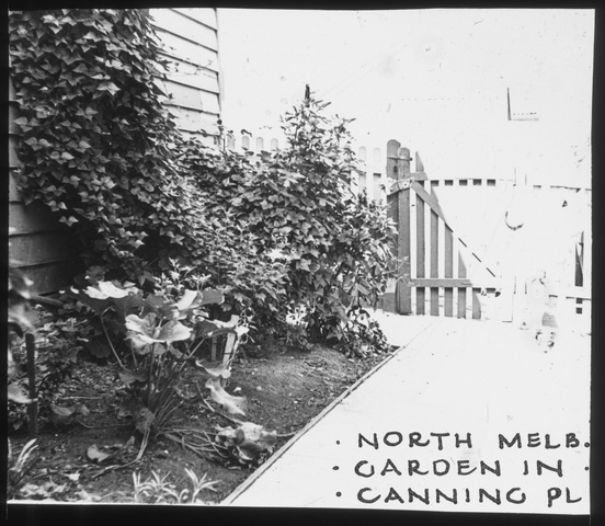 Garden in Canning Place, North Melbourne