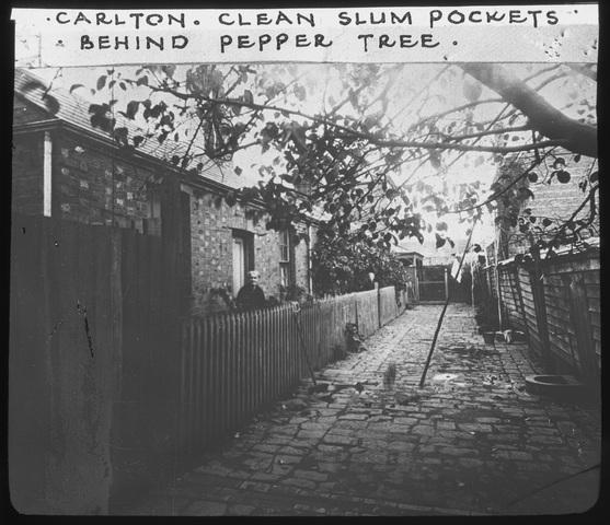 Carlton Slum Pockets