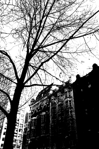 'Branching Out'