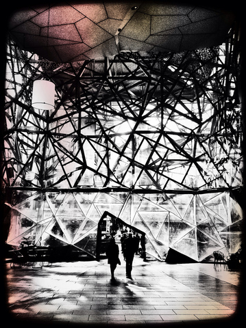 'The web'
