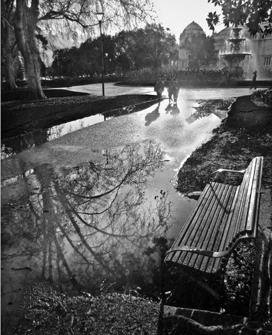 'Reflection'