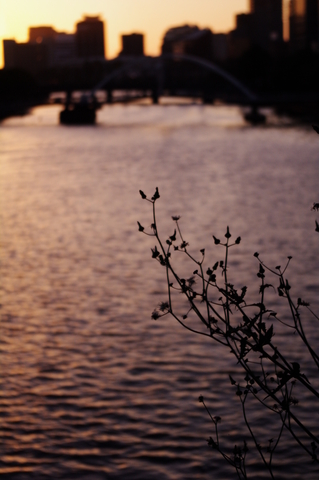 'Sunset Melbourne'