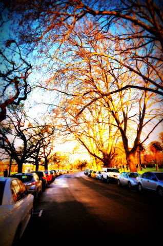 Spring Road 117