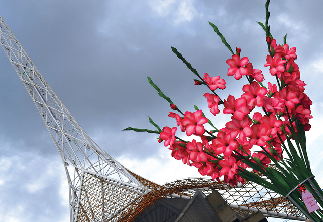 'Edna's gladioli at the Arts centre'
