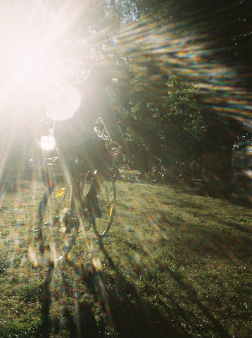 'chasing love'
