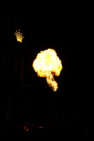 'Flame of Melbourne'