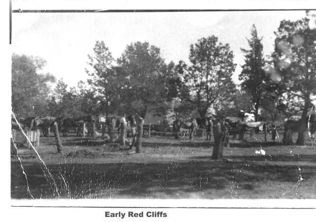 Early Red Cliffs Mildura 
