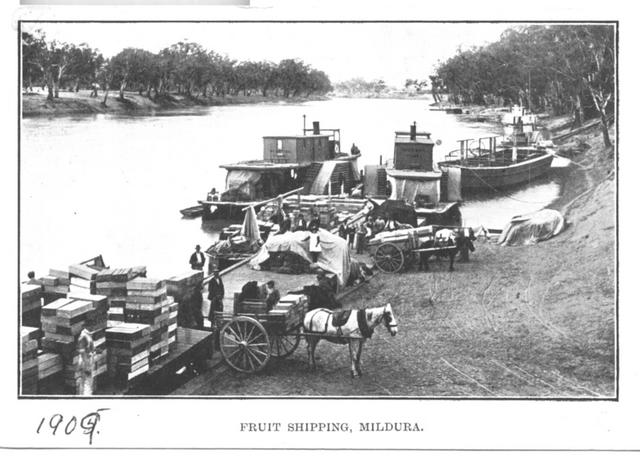 Fruit shipping Mildura