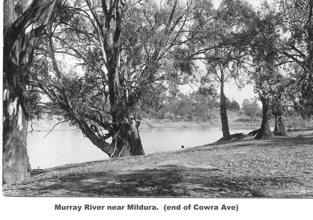 Murray River end of cowra ave) MilduraMildura