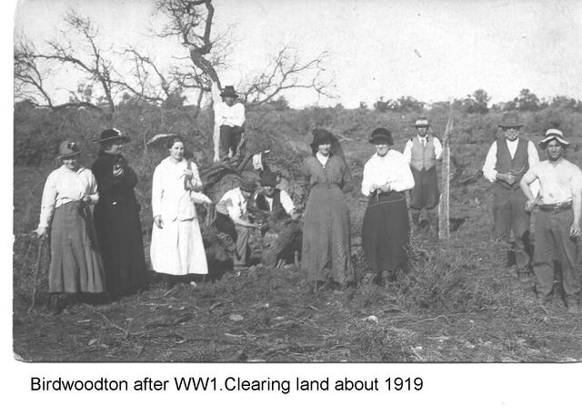 Birdwoodtown clearing land Mildura