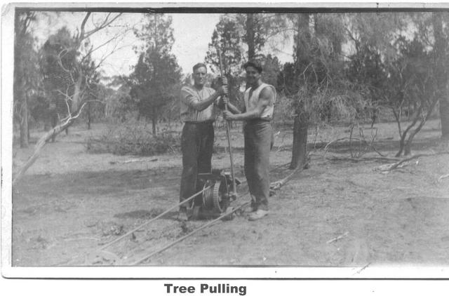 Tree Pulling Mildura.