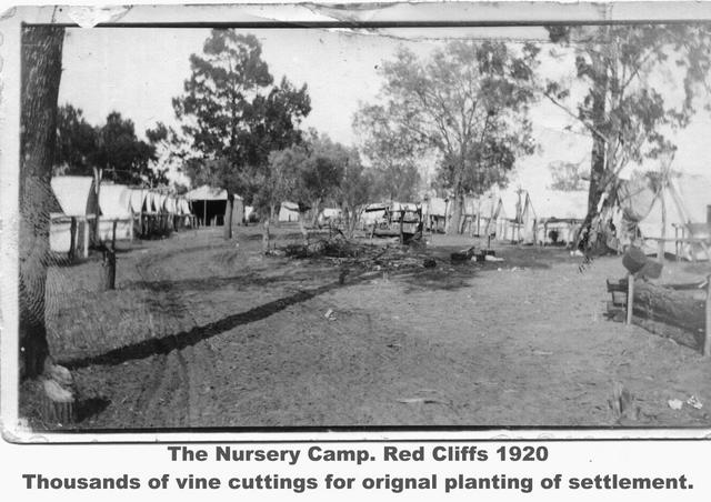 The Nursery Camp Red Cliffs, thousands of vine cuttings for the Original Settlement. Mildura.  