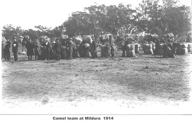 Camel team Mildura.