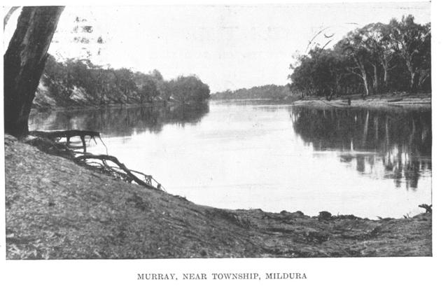 Murray, near township Mildura.