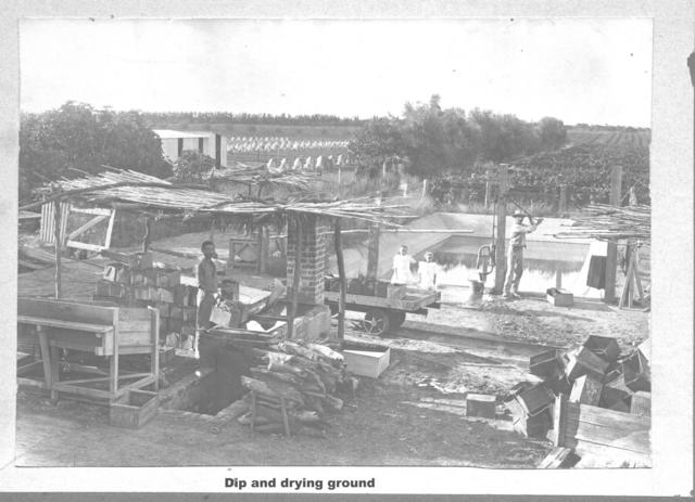 Dip and Drying ground, Mildua.