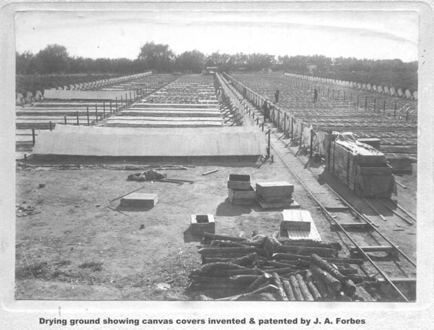Drying Ground showing canvas covers invented and patented by J A Forbes, Mildura.