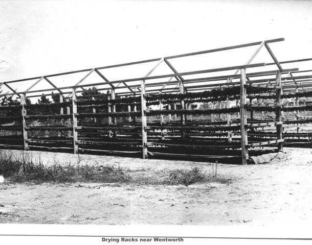 Drying racks, Mildura.
