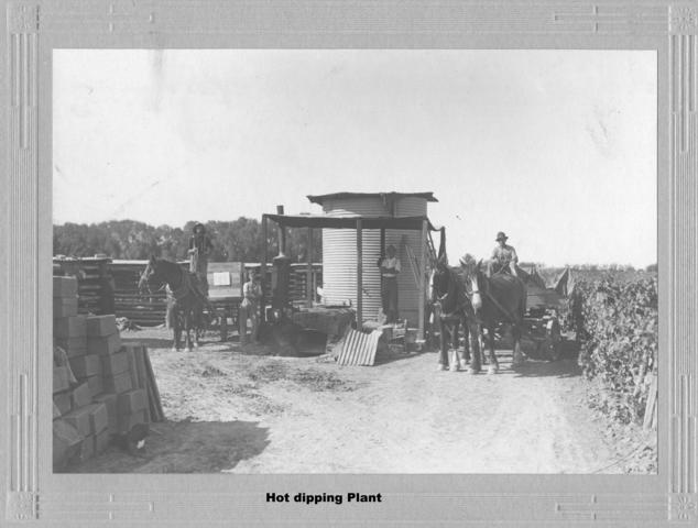 Hot dipping plant, Mildura.