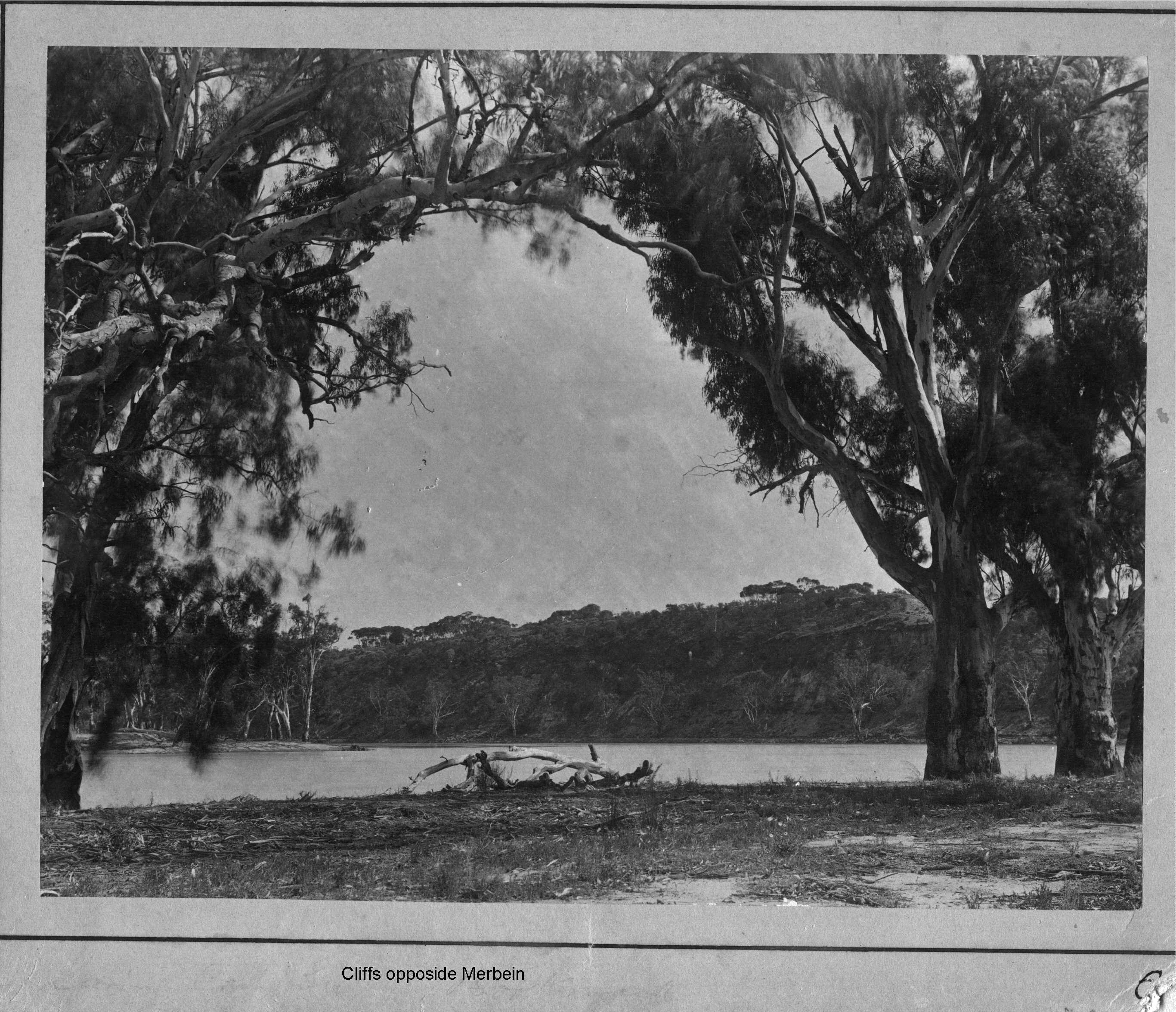 Cliffs oposite Merbein, Mildura.