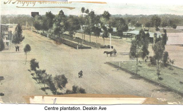 Centre Plantation, Deakin Ave Mildura.