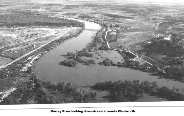 Murray River Looking downstream towards Wenthworth, Mildura.
