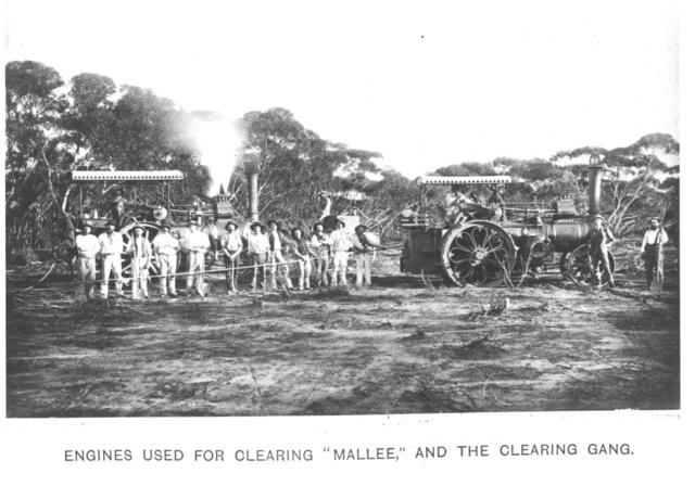 Engines used for clearing 'Mallee' and the clearing Gang, Mildura.