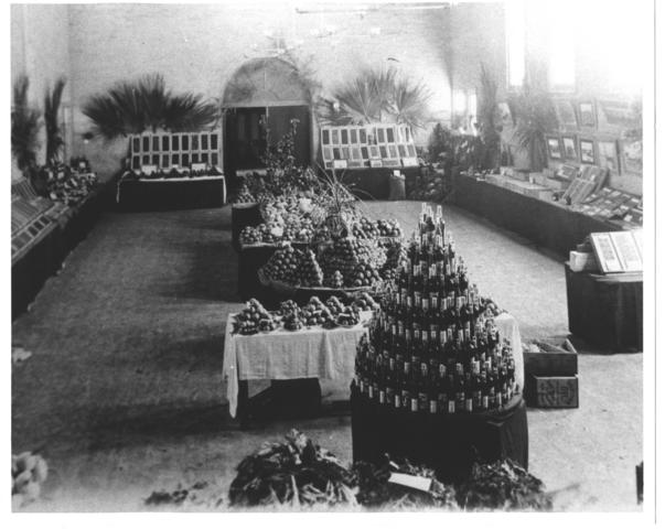 Fruit Growers Association Display, MIldura.