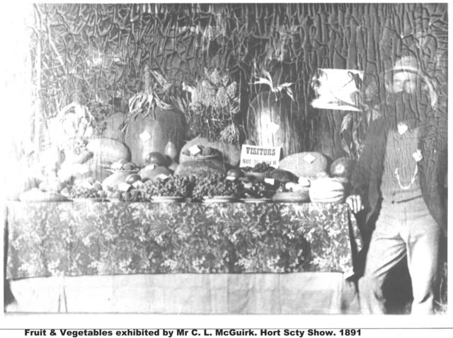 Fruit & Vegetable display exibited by Mr C L Mc Quirk, Horticutural Society, Mildura. 
