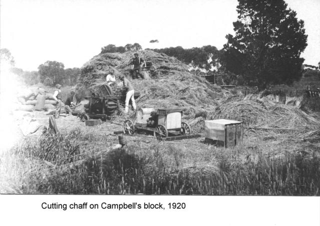 Cutting chaff on Cambells block, Mildura.