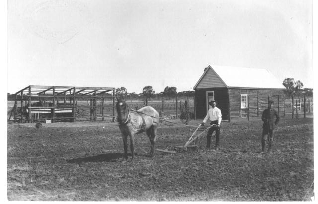 Horse and Plough, Mildura.